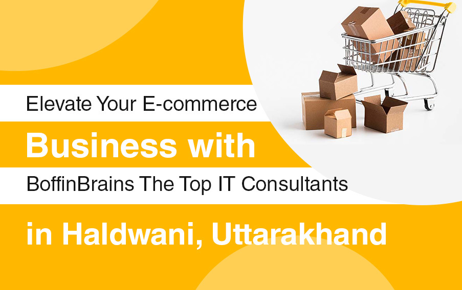Elevate Your E-commerce Business with BoffinBrains: The Top IT Consultants in Haldwani, Uttarakhand