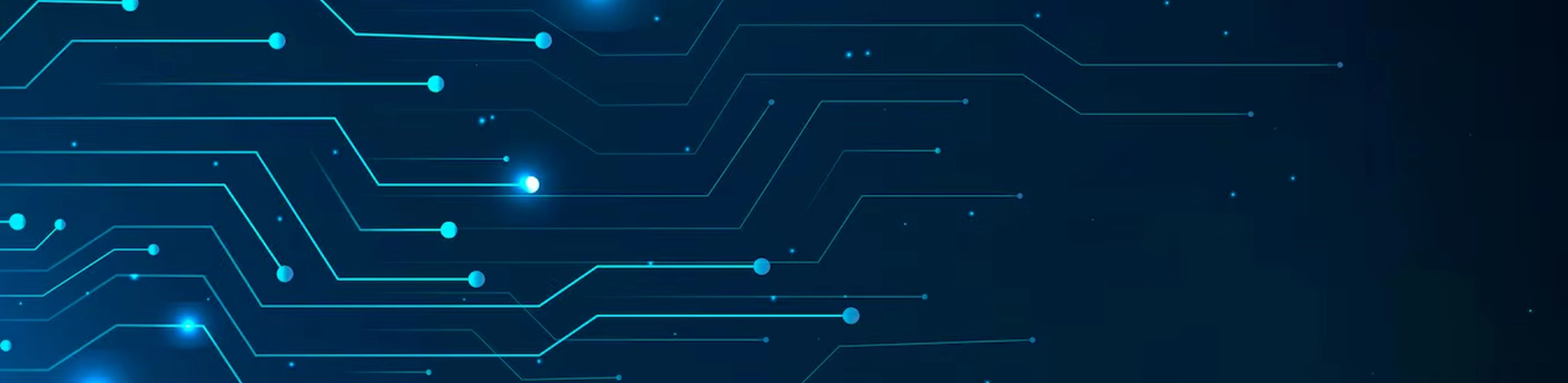Skillsprint Tech case study